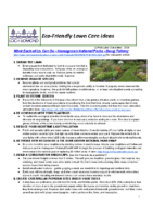 Eco-Friendly Lawn Care Ideas